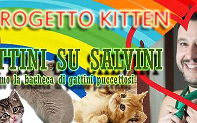 11182098 371237333083306 7323541890812694566 n