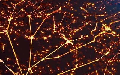 Schermata 2015 06 24 alle 17.23.19