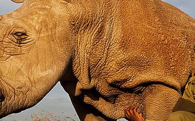 Schermata 2015 09 07 alle 15.27.09