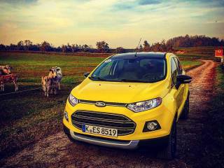 12208670 10156175539385246 6837744630741866964 n