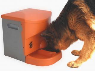 Migliori distributori di cibo per animali