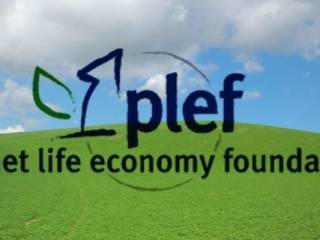 plef1 637x320