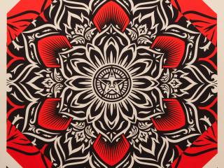 Essere alla moda con gli incredibili prodotti Obey