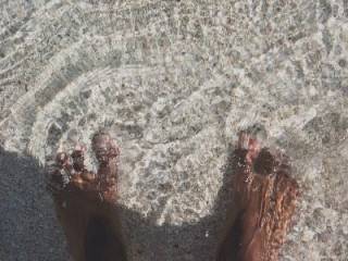 fig 04 11 2016 14 59 12