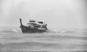 fig 18 12 2016 11 36 55