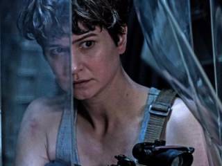 fig 21 12 2016 06 08 26