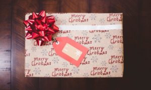 fig 26 12 2016 07 45 29