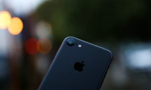 fig 13 01 2017 07 37 33