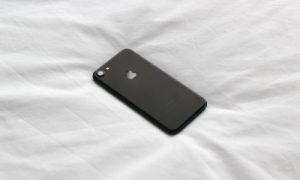 fig 24 01 2017 09 12 48