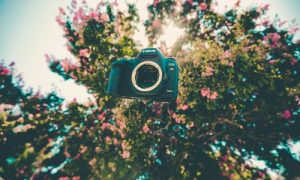 fig 27 02 2017 21 53 14