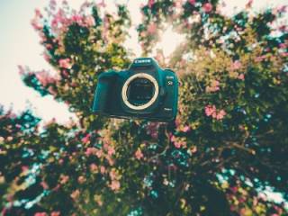 fig 27 02 2017 21 53 14