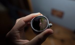 fig 05 03 2017 13 52 28