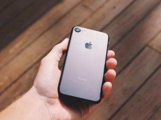 fig 12 05 2017 11 36 14