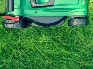 fig 31 05 2017 15 42 19