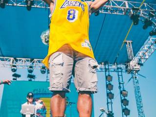 fig 08 06 2017 07 07 40