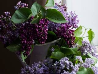 fig 25 07 2017 09 36 41