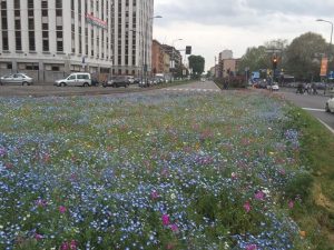 PiazzaMonteTitano 17 aprile2016 Ph IlariaScauri 2