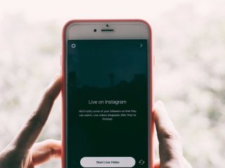 fig 20 09 2017 10 16 42