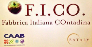 fico logo