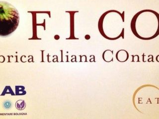 fico logo