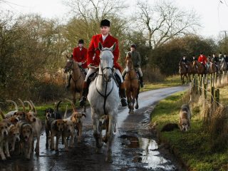 Theresa May contro la caccia alla volpe