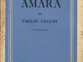 america amara terza edizione