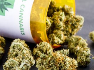 cannabis terapeutica shu 301537862 1600x900