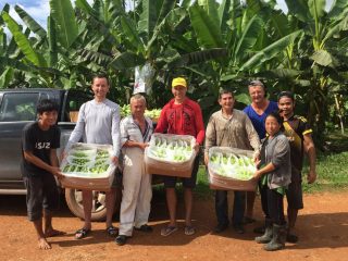 Bananacoin la Criptovaluta assurda