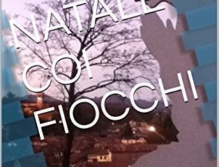 natale coi fiocchi poesie e piccoli racconti essential in the pocket vol 2