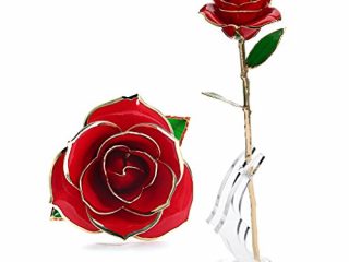 rosa regalo fiore u kiss oro 24k rosa in confezione regalo con clear display 1