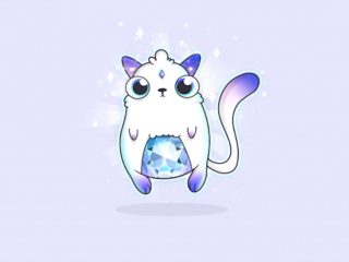 La app di ethereum dei gattini CryptoKitties raccoglie 12 milioni di dollari di finanziamento round A