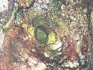 proyecto liquido miedo