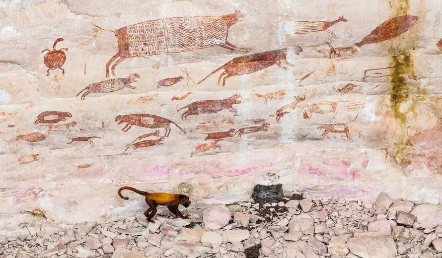 UNESCO: World Heritage Committee has inscribed a total of 19 sites unesco - UNESCO: World Heritage Committee has inscribed a total of 19 sites