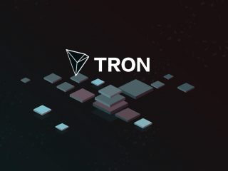Tron TRX Ready to Takeoff