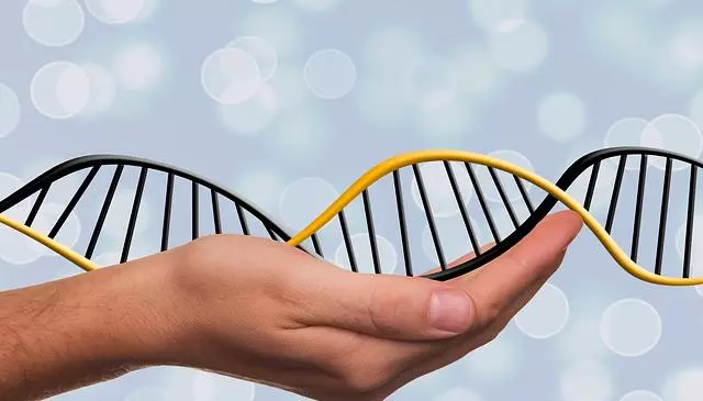 deoxyribonucleic acid 1500076 640 640x365 - “DNA delle competenze” grazie ai PFAwards di Professione Finanza