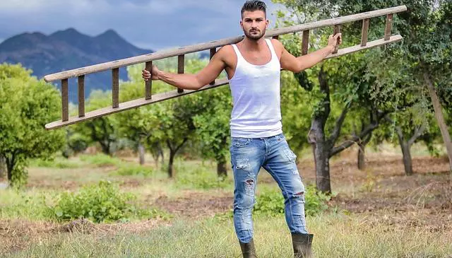 In Lombardia la Coldiretti dialoga con i giovani nature 3375279 640 640x365 - In Lombardia la Coldiretti dialoga con i giovani