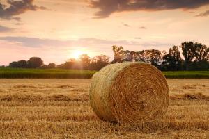 straw bales 3521063 640