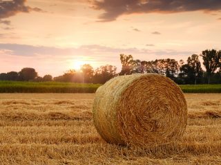 straw bales 3521063 640