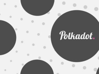 polkadot