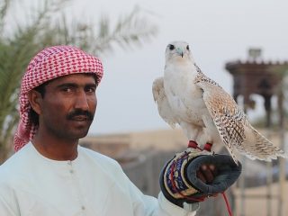 desert safari 1264595 640