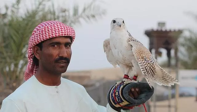 desert safari 1264595 640 640x365 - Papa Francesco negli Emirati Arabi. I cattolici sono 700mila.