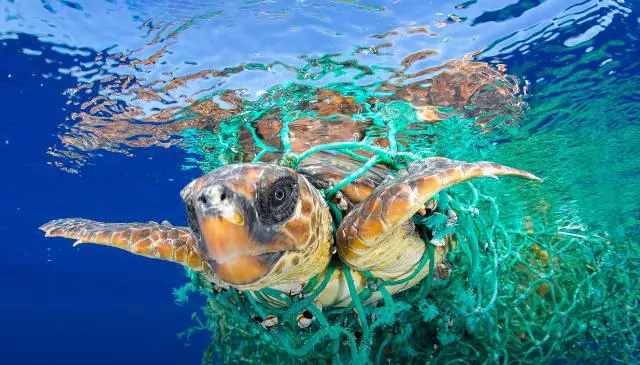 free 640x365 - Il Rotary lancia un progetto per eliminare la plastica dalle acque del Mediterraneo