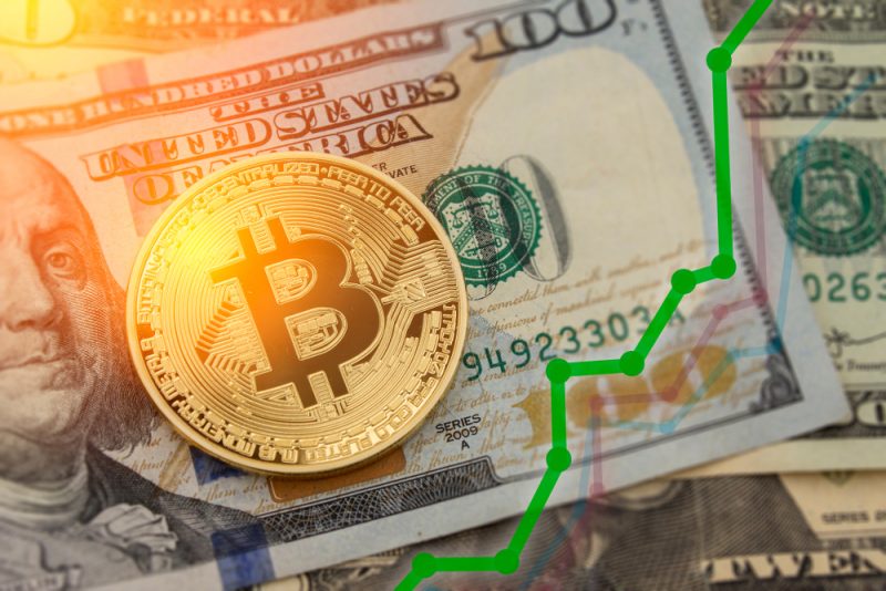 bitcoin proiettato come soluzione alla crisi pensionistica privata in corso
