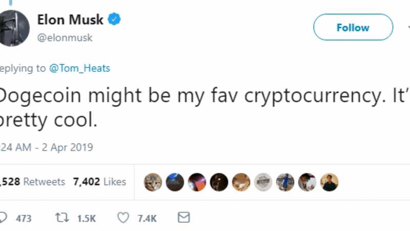 dogecoin continua a correre il suo toro mentre elon musk prende il posto dellonorario ceo e scende le ore dopo