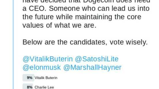 elon musk si dimette come ceo di dogecoin after price soars al 30 1