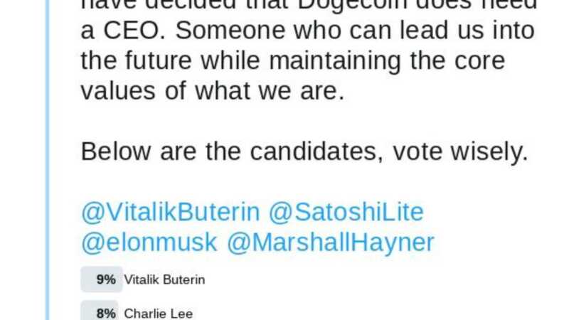 elon musk si dimette come ceo di dogecoin after price soars al 30 1