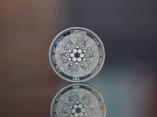 emurgo rilascia il portafoglio yoroi light per la presentazione cardano