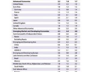 fmi inclusione finanziaria aumentera leconomia globale purche non sia bitcoin 2