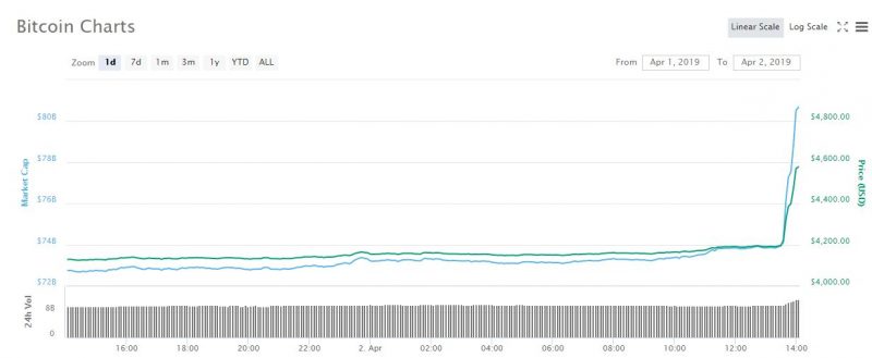il mercato degli orsi toro dei bitcoin in mezzo al grande raduno di dow