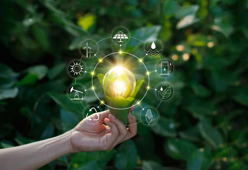 iota lavorera con energinet per portare liot al mercato dellenergia
